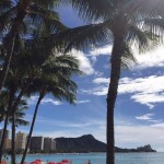 6df28d52a932b67845fe